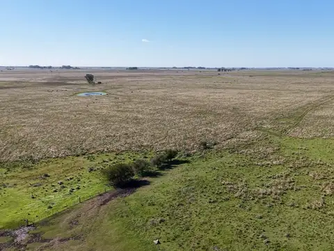 Campo para arrendar en Vieytes (Bs As)