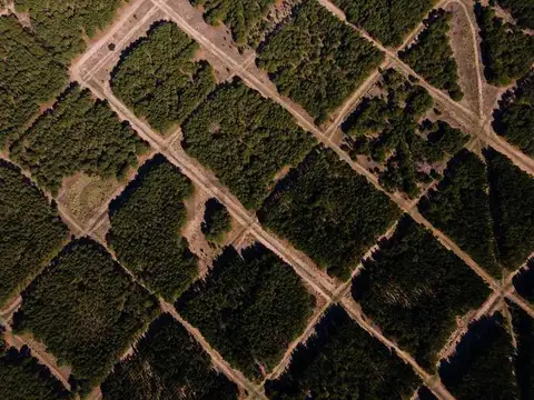 Terreno en Venta en Pinamar Norte, USD 22.000