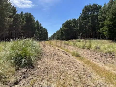 Terreno en Venta 25  mts Fondo