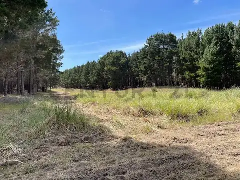 Terreno en Venta de 500,0 m2