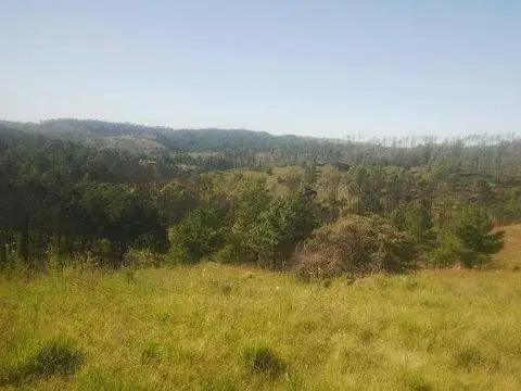 Campo en Venta de 70  ha