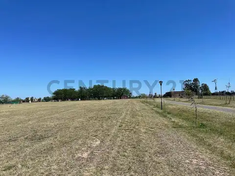 El Mirador  Club de Campo   ruta 2 km 90 100