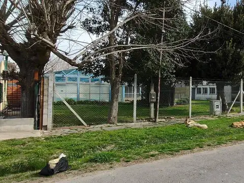 12 E/421 bis y 422-Complejo de casa, dos S.U.M, pileta, taller. Lote de 1432 m2.