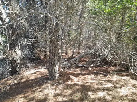 Terreno en Venta 20  mts Frente