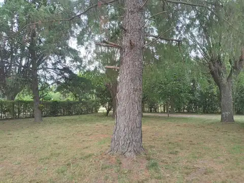 Casa quinta c/pileta, lote 41mts x 41mts en Laguna de Lobos