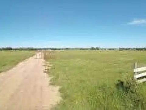 Terreno en Venta de 725,0 m2