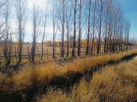 VENTA TERRENO EN MALARGÜE