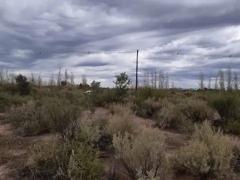 Campo 28 Ha El Ramblón San Martin Mendoza