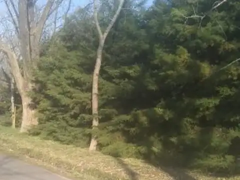 las amapolas 7 , Piso No definido