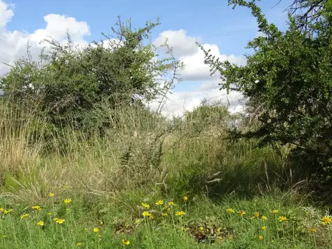 Lote en venta en Ayres de Larca San Luis- 600 m2