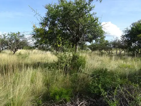 Ayres De Larca Ruta 1 Km 27