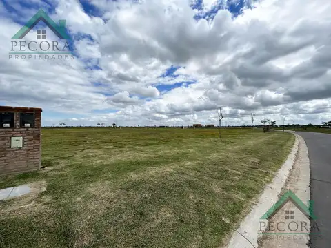 Amarras - Lote 290 - Puertos del Lago