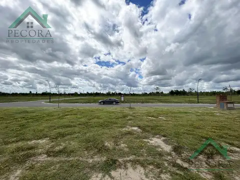 Lote - Puertos del lago - Amarras - interno - Lote 290