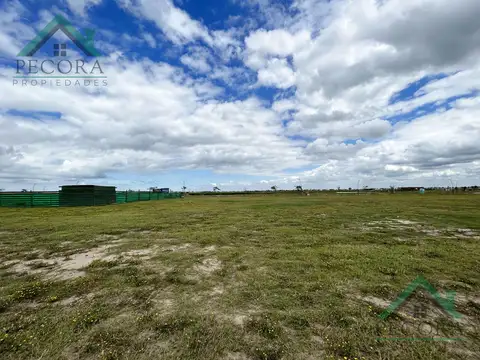 Terreno en Venta de 705,0 m2