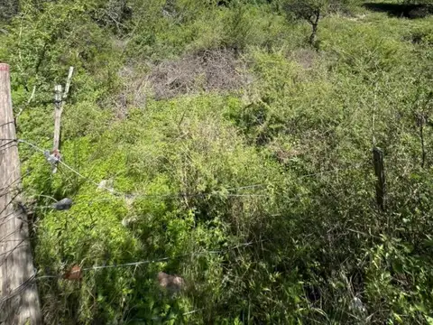 Terreno en Venta de 914,0 m2