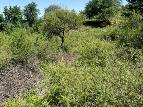 Terreno en Venta en Villa Parque Siquiman, USD 11.000