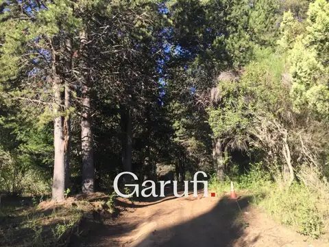 Ruta 40 km1927