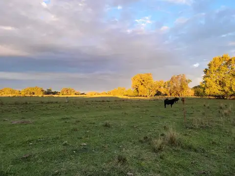 Ruta 28 Pilar- Has s/n