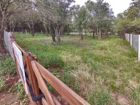 J Orozco Esq Leandro Morán 1