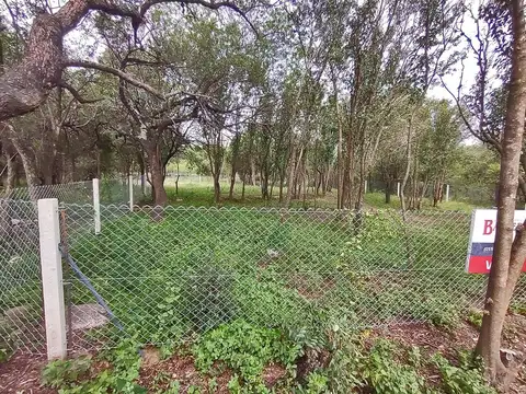 Terreno en Venta, FOT 45