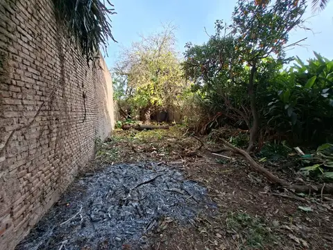 Isabel la Católica 500