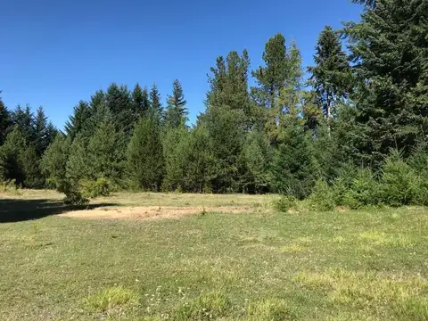 UNICA FRACCION APTA INVERSION O FRACCIONAMIENTO EN VILLA LA ANGOSTURA