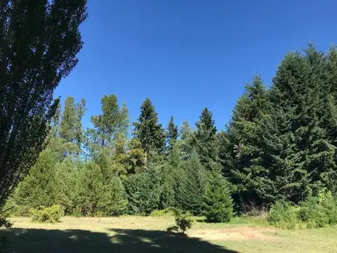 Terreno en Venta 58  mts Fondo