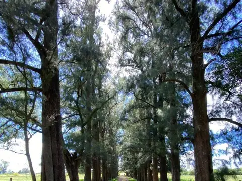 PROYECTO BARRIO CERRADO EN CAPILLA DEL SEÑOR