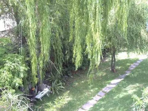 PACIFICO RODRIGUEZ 5100