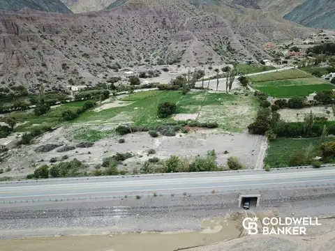 VENTA TERRENO EN PURMAMARCA