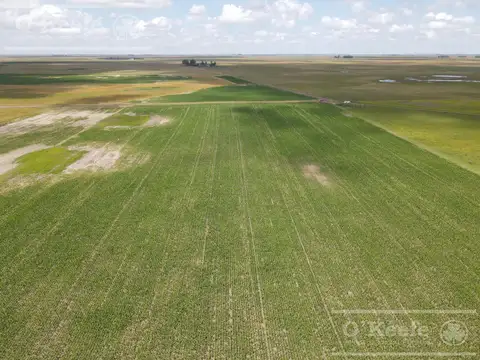 Campo en venta de 300 has en Pila