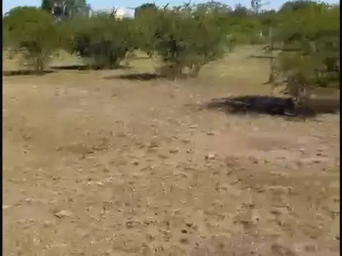 LA GRANJA LOS MOLLES CORDOBA CALLE LOS ALGARROBOS