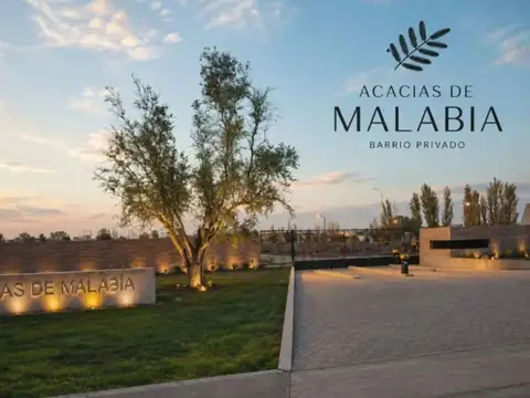 VENTA LOTE ACACIAS MALABIA 300 MTS