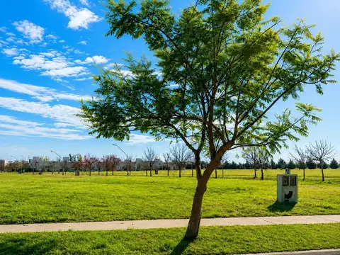 GRAN LOTE EN CIUDAD VERDE