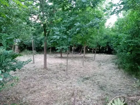 Lote en Barrio Los Pioneros