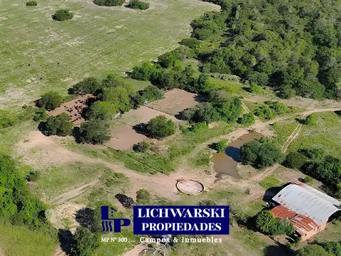 Campo en Venta Agrícola