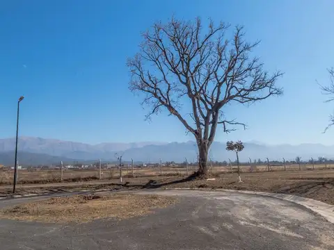 TERRENO VENTA LA VERBENA ZONA AEROPUERTO ESQUINA
