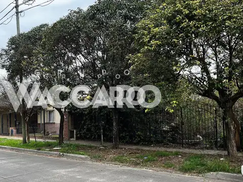 Catalina Badaracco 400