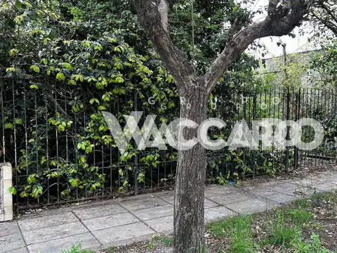 Catalina Badaracco 400