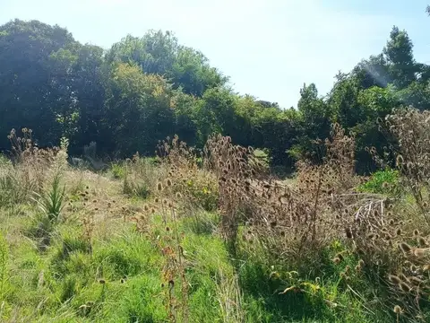 Marindia esquina Salinas