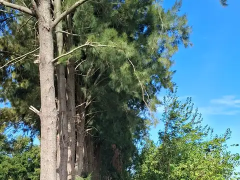 Terreno en Venta de 950,0 m2