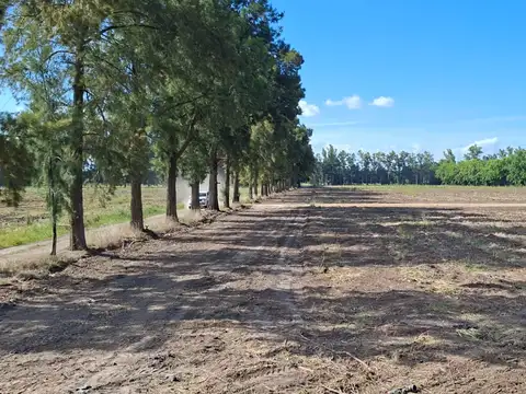 Venta terrenos desde 950 m2 en zarate