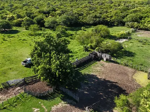 Campo Ganadero en Pueblo Libertador
