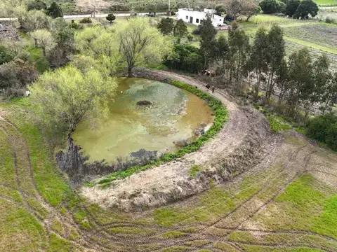 Vendo campo 2 hectáreas Pando Ru 75 casa y tajamar