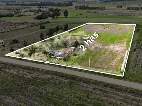 Vendo campo 2 hectáreas Pando Ru 75 casa y tajamar