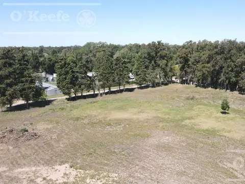 Terreno en Venta en Centro Agricola el Pato, Partido de Berazategui