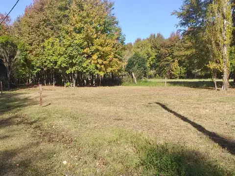 Terreno en Venta 40  mts Fondo
