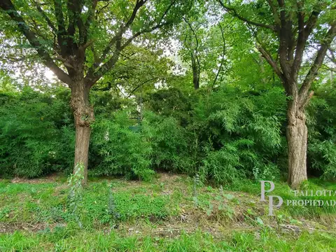 Terreno en Venta 31  mts Fondo