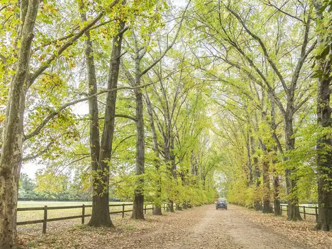 Reventa en Almahue Pilar - Posible Financiación