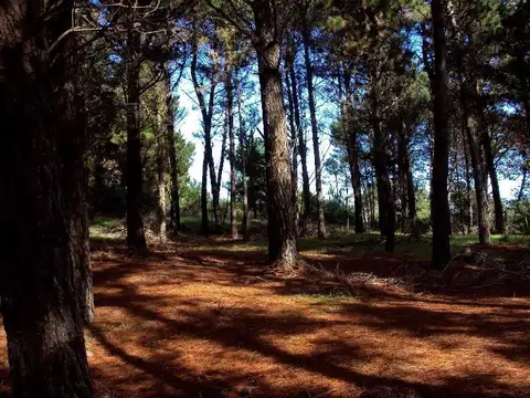 Terreno en Venta 30  mts Frente